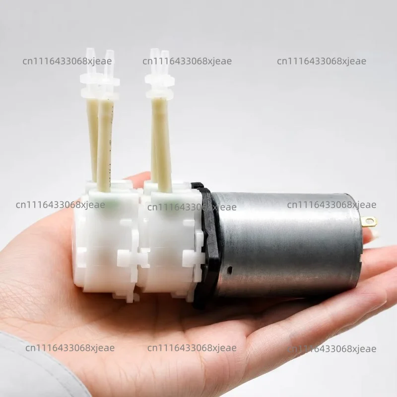 12V 24v DC Motor Double Pump Head Miniature Multi-channel Pump Digital Printing Press Peristaltic Pump