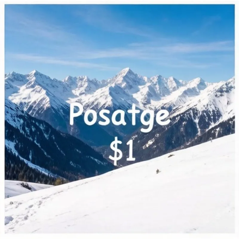 Made-in-China Store   Special link for compensating postage price difference image 5