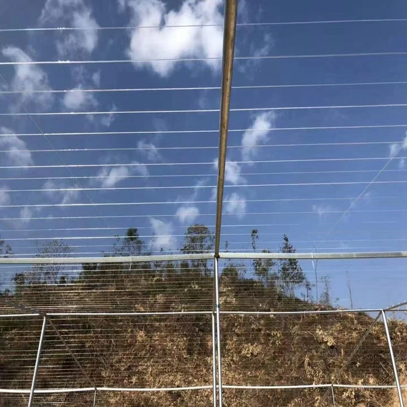 2025HDPE 폴리에스터 모노필라멘트 원사 농업용 온실 와이어