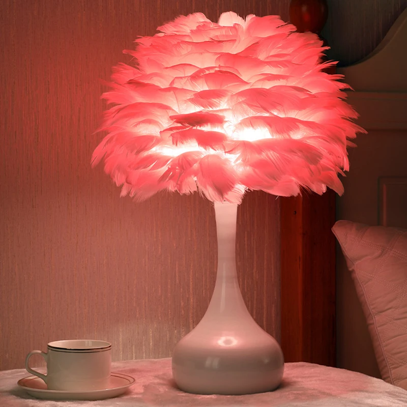 

LED Lights for Bedroom Dimmable Feather Lamp Romantic Bedside Ornament Night Light with USB Plug Remote Control for Room Decors