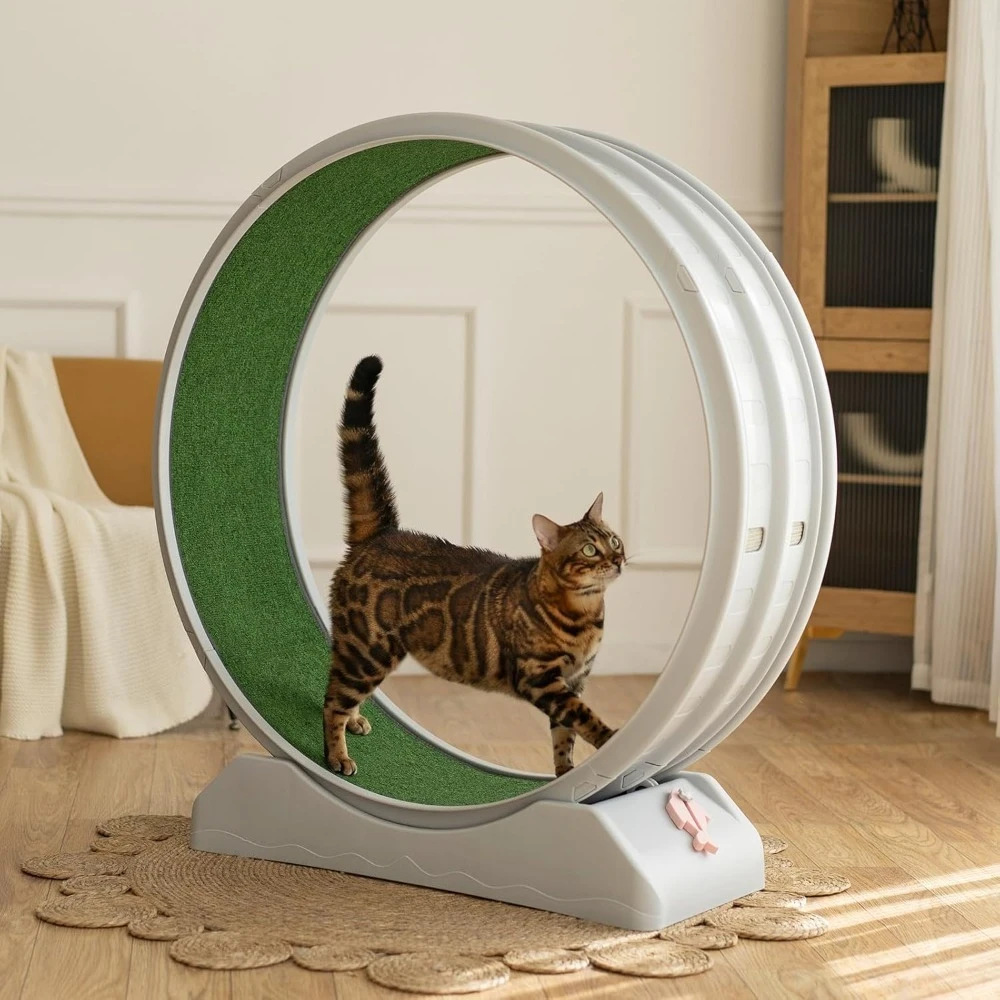 

Cat Exercise Wheel,39.4 Inch Cats Treadmill for Indoor, Cat Running Wheel with Carpeted Runway, Easy to Install,Fitness & Health