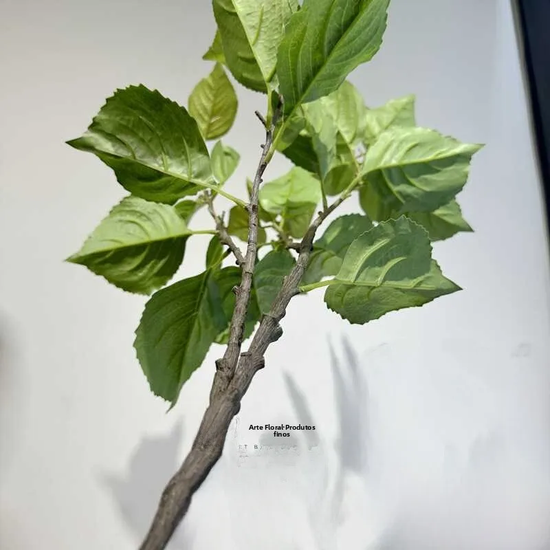 リアルなタッチ人工アジサイの葉植物屋内モネ庭の装飾緑風景花アート葉素材