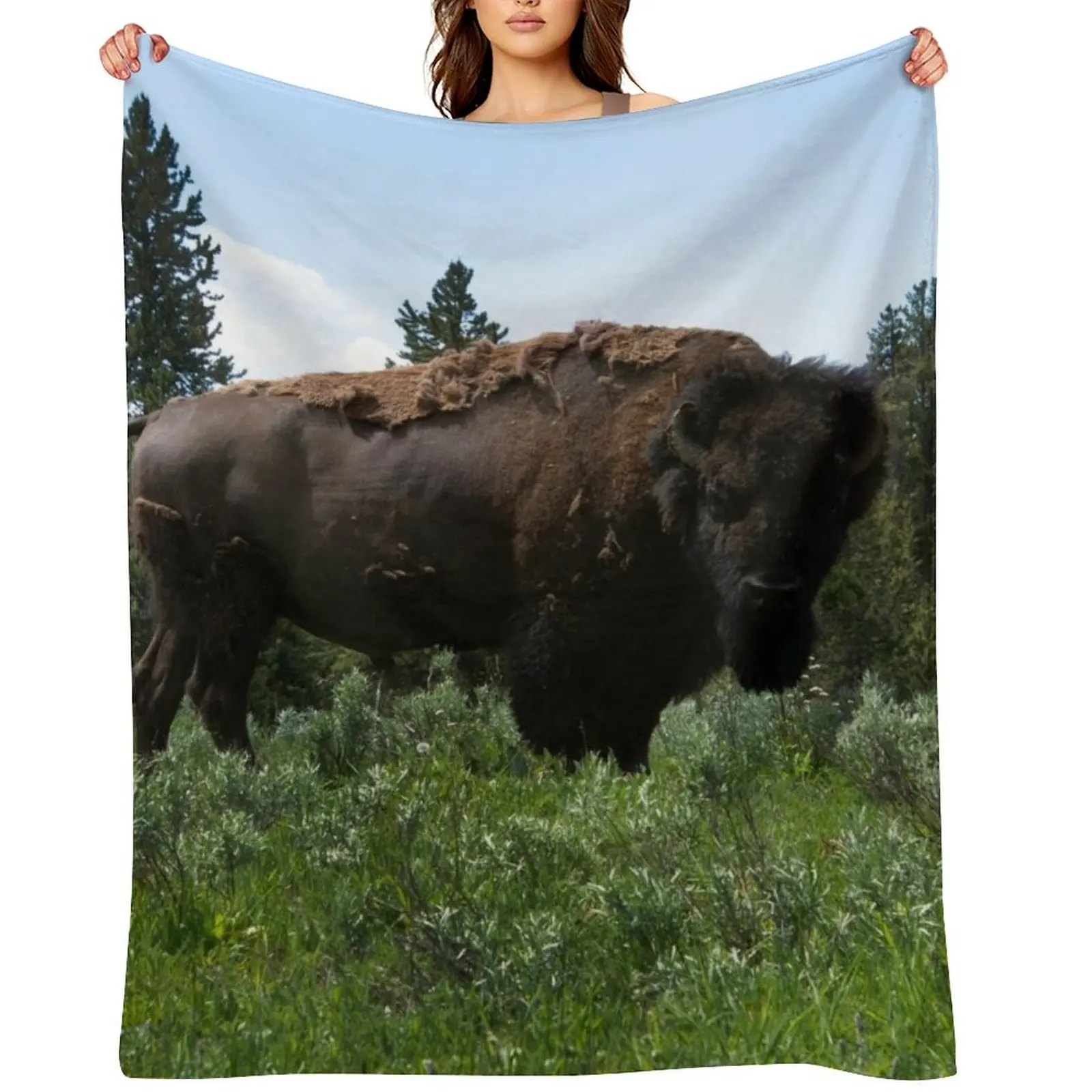 

Buffalo Stare Down Throw Blanket Decorative Beds Fashion Sofas Thins Blankets For Bed Blankets