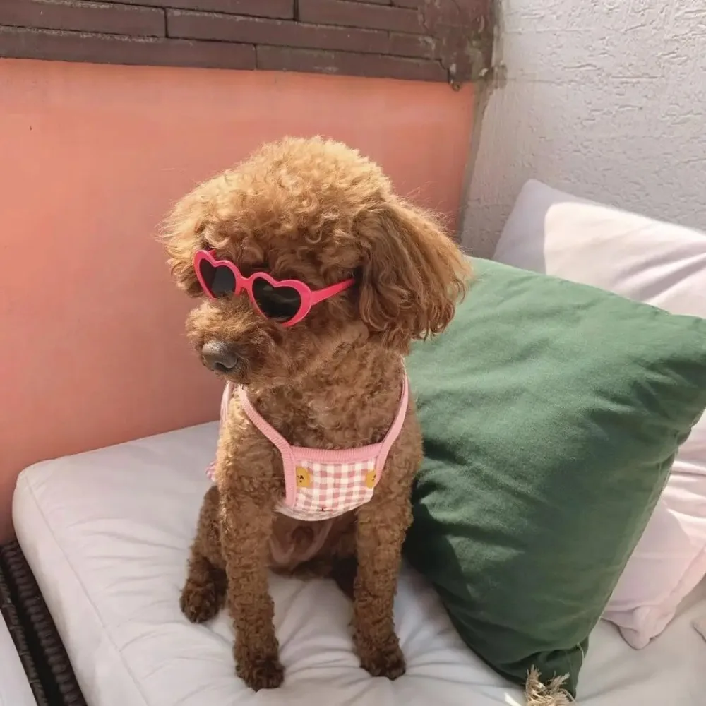 Love Pet Glasses Dog Cat Creative Fashion Sunglasses Sunglasses with Jewelry Cat Dog Love Glasses Pet Beauty Decoration Supplies image 5