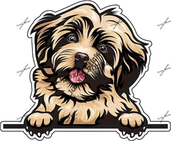 Havanese Refrigerator Dog Breed Car Decal Motorhome Campe Knuckles Decoration for Suv Window Engine Cover Decor Accessories