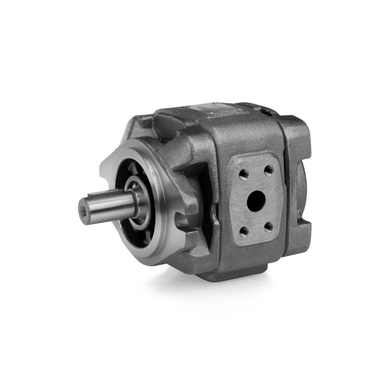 

Гидравлический шестеренчатый насос SUNNY HYTEC HG1-25 HG1-32 HG1-40 HG1-50 HG1-63 для морских перевозок, 1 л.с., 100 бар, 1/4 дюйма, с коннектором, на заказ