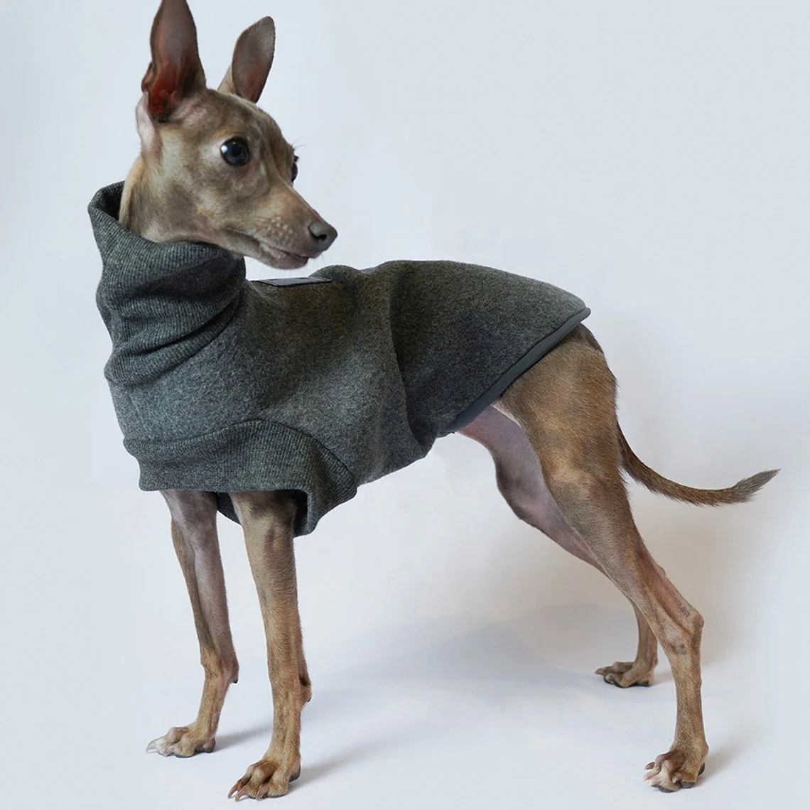 Pet Supplies Custom New Designer dog clothes dog jackets Fleece high collar Top coat vests for Italian Greyhound Whippet