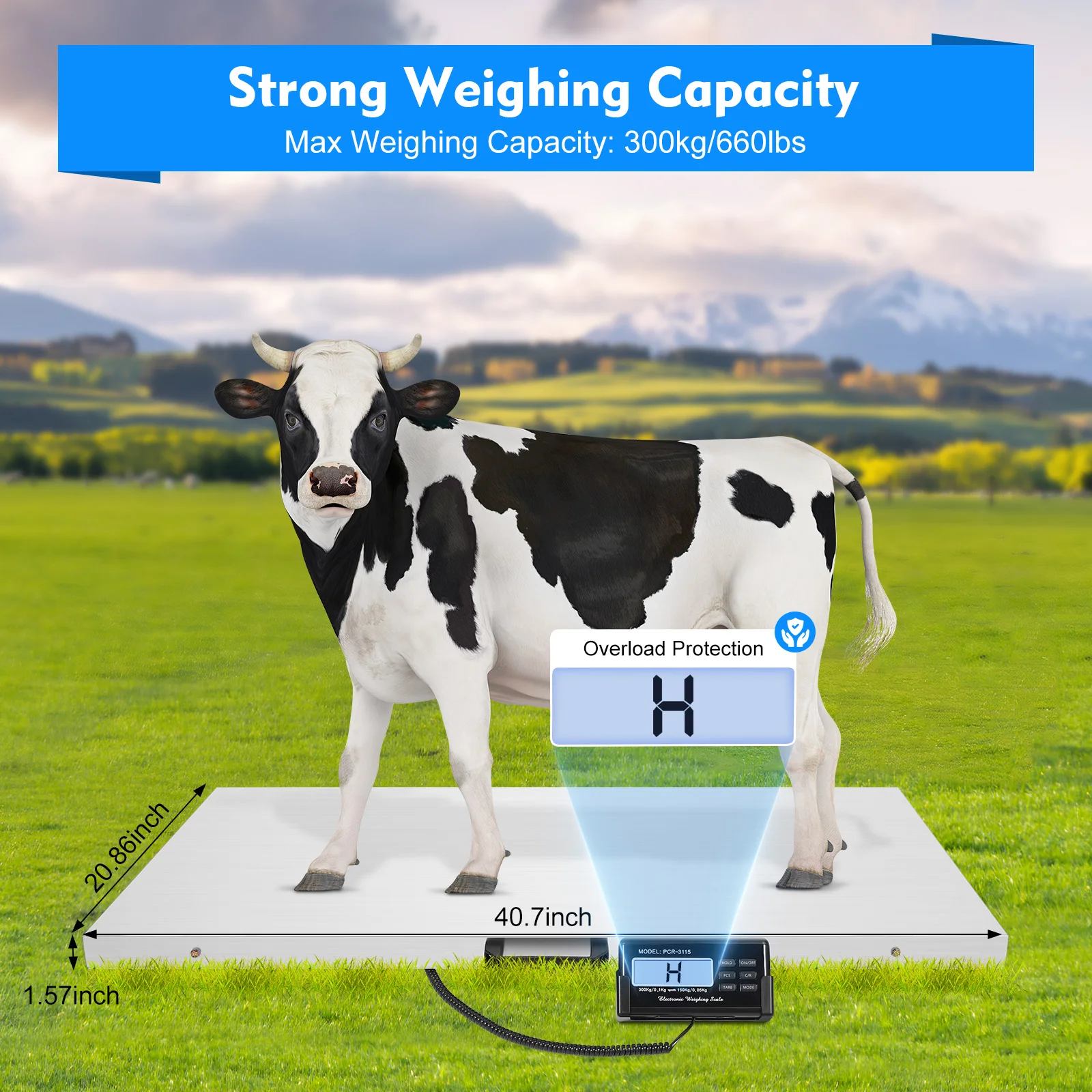 Digital Scale Heavy Duty Postal Scale Animal Scale Stainless Steel LCD Floor Scale Overload Protection Luggage Scale 300kg