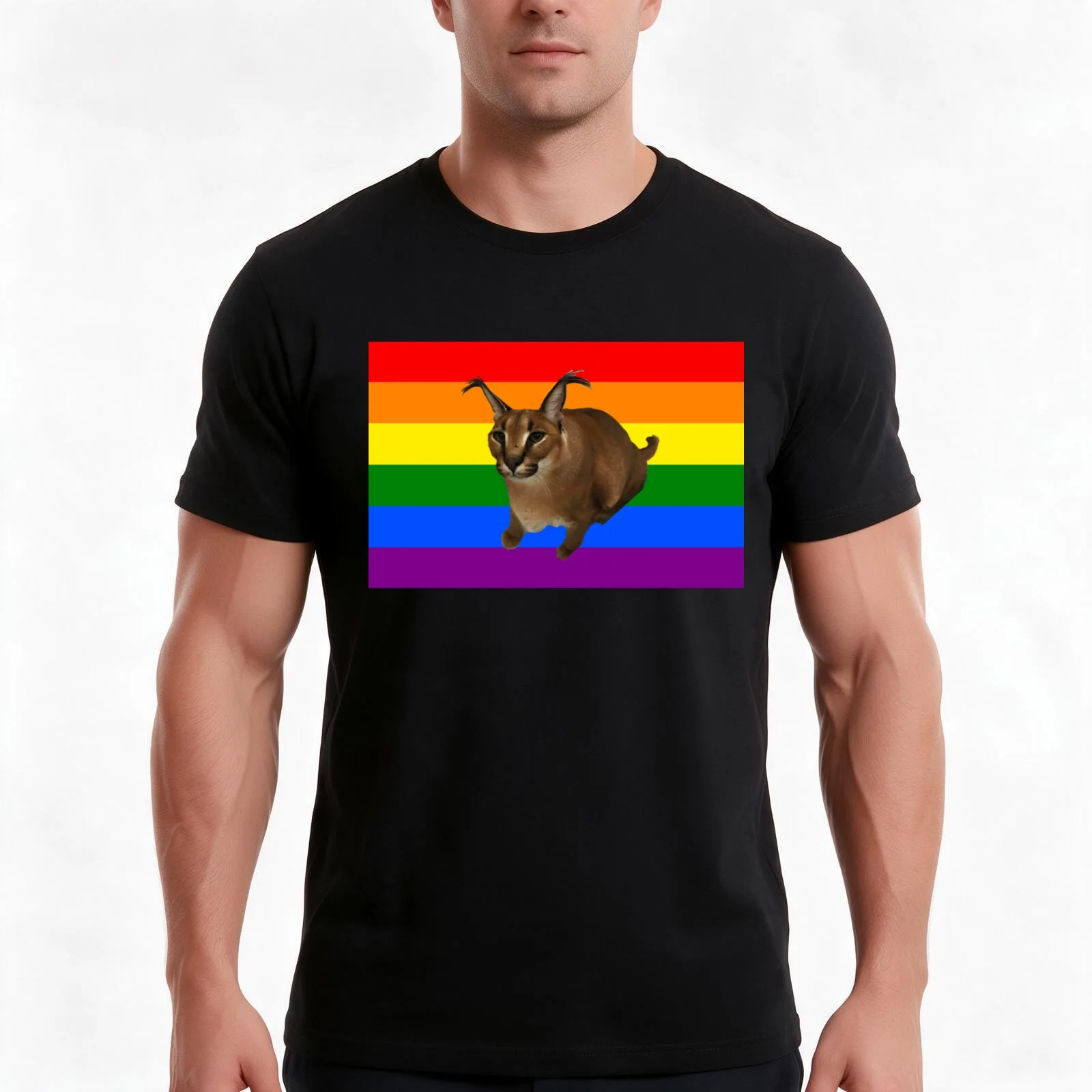 big floppa pride T-Shirt, Summer Casual Cotton Tee, Oversized Streetwear Tops, Vintage Graphic Print, Loose Fit Short Sleeve