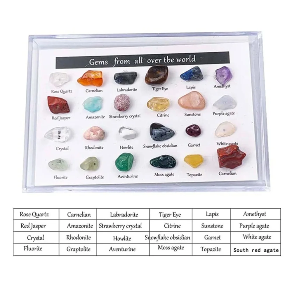 24 Pieces Educational Specimens Mineral Gem Kit Learning Activity Gemstones Set Rocks Collection