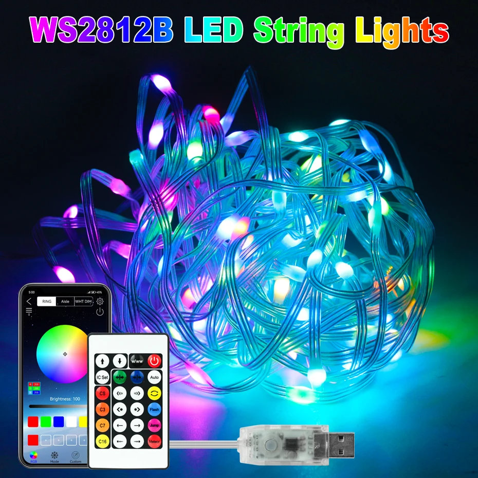 Tira de luces LED RGBIC de 5V, luces de Navidad para fiesta, WS2812B, Control de música inteligente, Bluetooth, impermeable, IP67, Decoración de