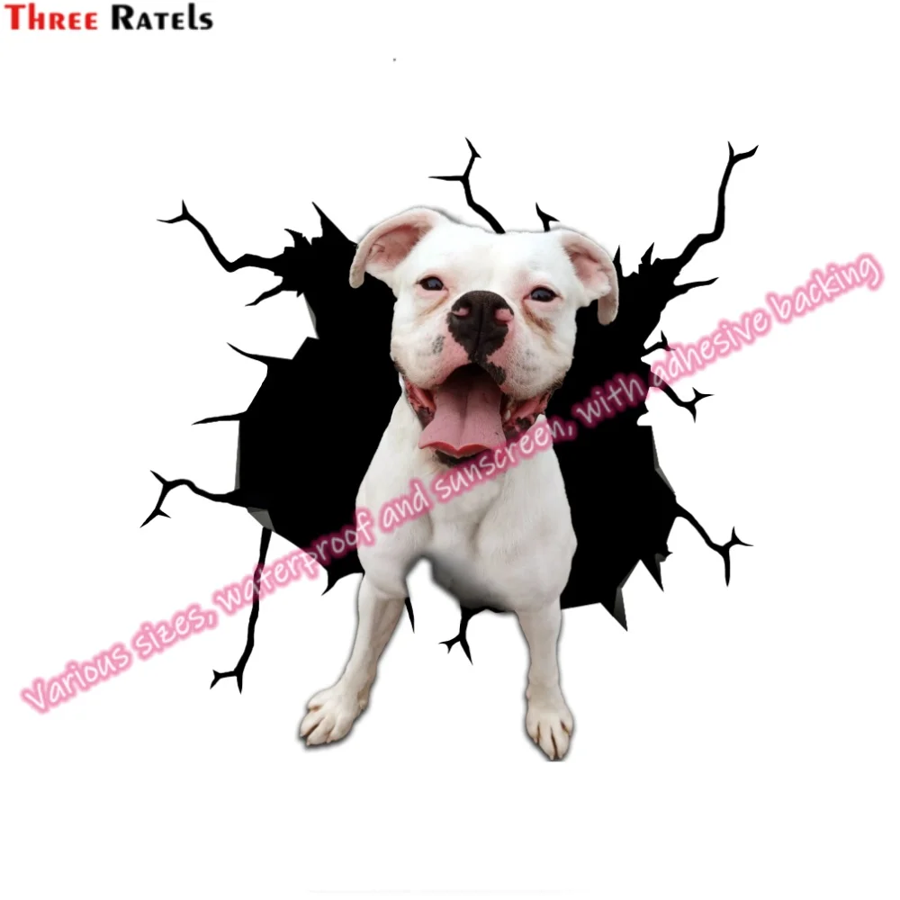 Three Ratels LD-0967 Stickers Accessories for Tuning Vehicles Stickers for Alien for Kia Sportage Supplies Motorcycle Stuff