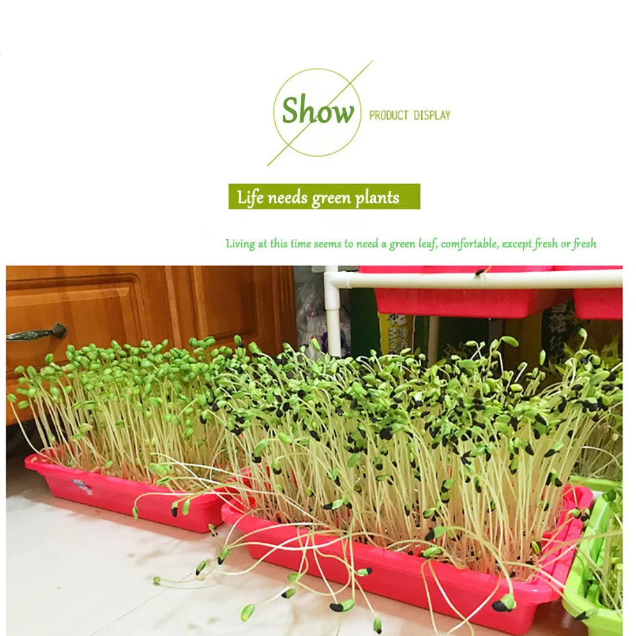 

Plastic Hydroponics Seed In Nursery Pot Green Planter Flower Germination Sprout Tray Vegetable Seedling Cat Grass