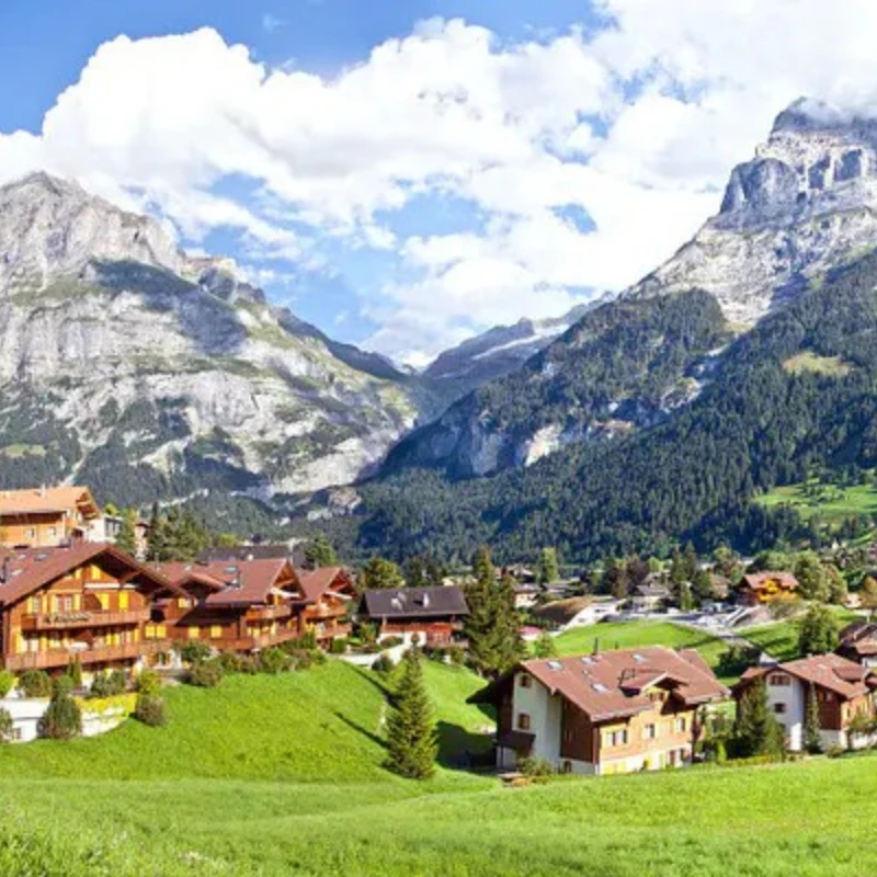 

Бесколлекторный двигатель HGLRC SPECTER 1003 10000KV 1-2S, совместимый с пропеллерами 1.6-2 дюйма для FPV-дронов Tinywhoop Toothpick 75 мм