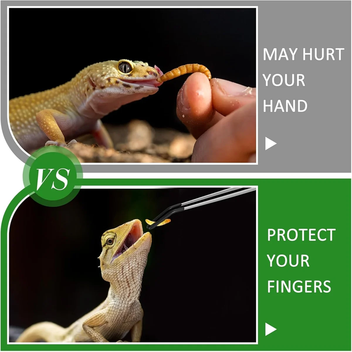 2025+ 2個入り タンクアクセサリー ステンレス製 爬虫類給餌トング ドラゴン水槽用ピンセット テラリウムフィーダーツール