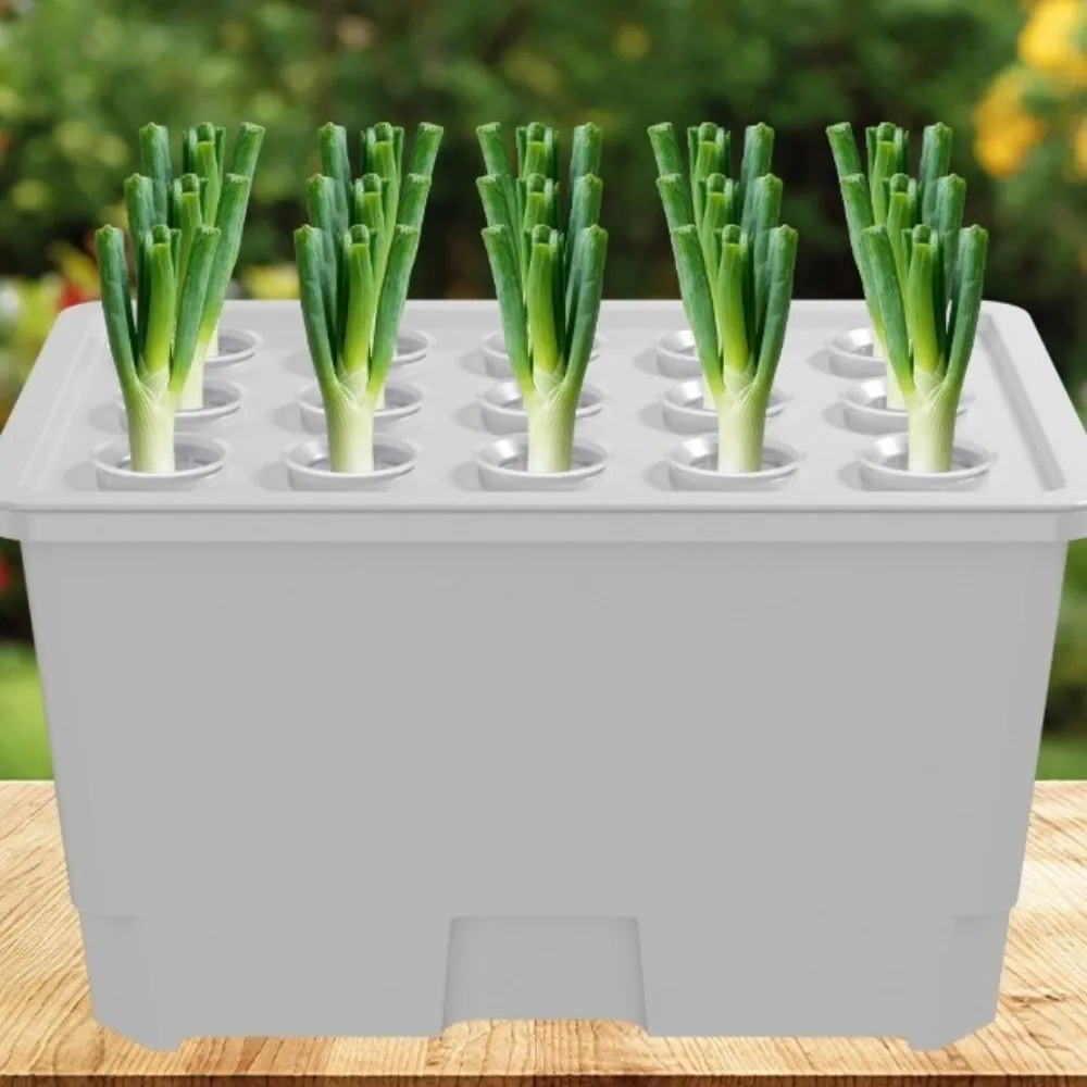 Split Design Hydroponic Box Thicken Nursery Pots Versatile Cultivation Box Plastic Soil-Free Planting Box Vegetable Growing