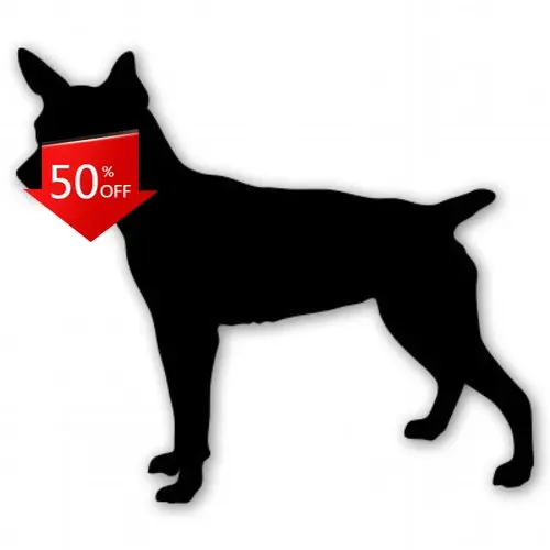 

Rat Terrier Dog Breed Unique Truck Bumper Car Window Gift Cute Funny Trendy Cool
