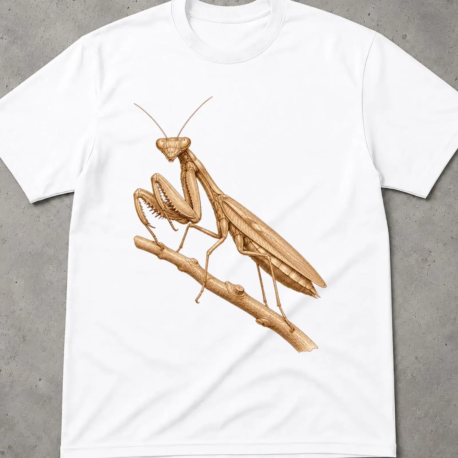 Praying Mantis Vintage Engraving T Shirt Cottagecore Entomology Bug Lover Nature Weirdcore Insect  vintage Washed Casual