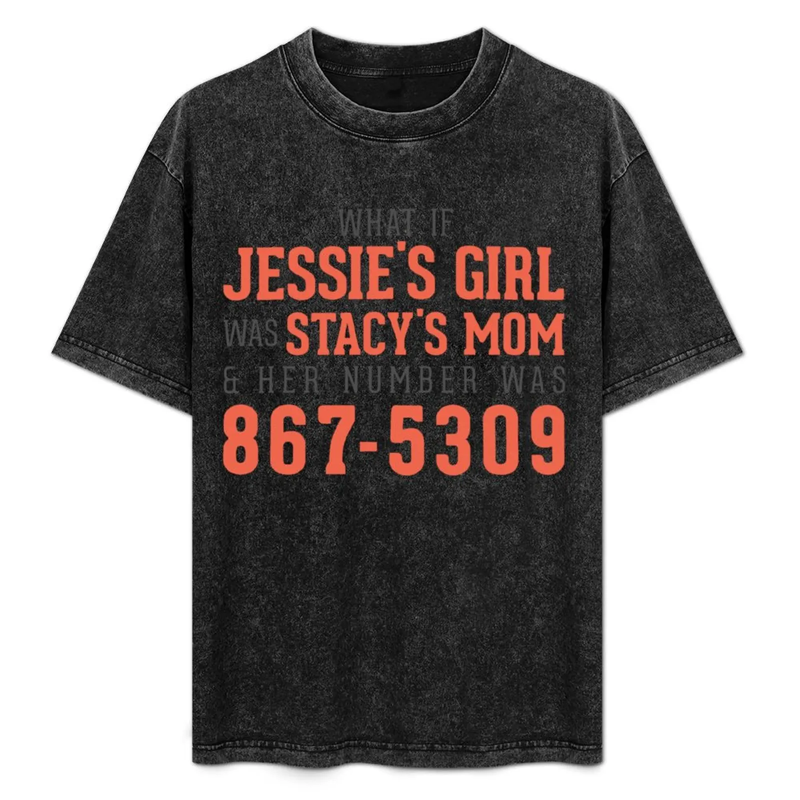 

What If Jessie's Girl was Stacy's Mom and her number was 8675309 T-Shirt Big Size Daily Wear T-Shirt