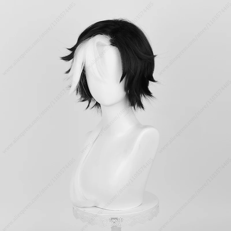 Photographer DM Joseph Cosplay Wig 68cm Long Mixed Color Heat Resistant Synthetic Wigs