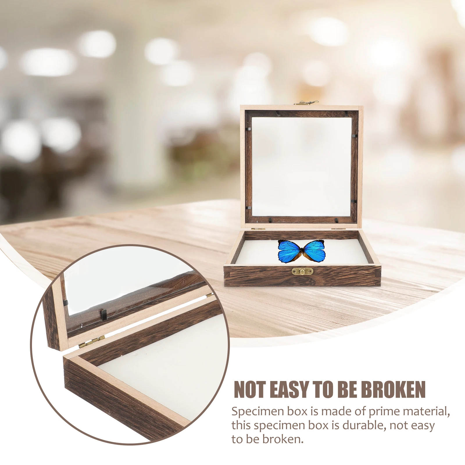 

Butterfly Specimen Box Wooden Display Case Acrylic Cover Storage Container For Insect Jewelry Coins Photos Crafts Home