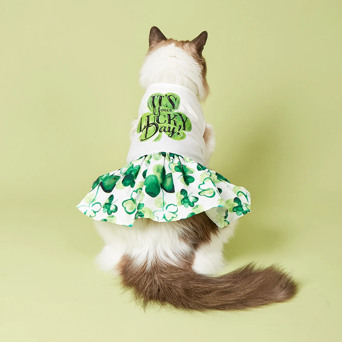 Cutest Clover in The Dog Dress, St Patricks Day Dog Clothes for Small Dogs Girl, Funny Pet Apparel Cat Holiday Outfit