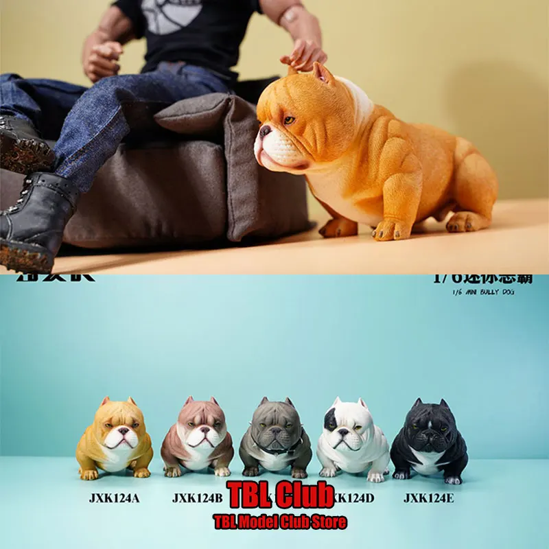 In Stock JXK124 High 8cm Static Mini Bully Pitbull Simulated Pet Puppy Dollhouse Scene Decor For 12inch Action Figure