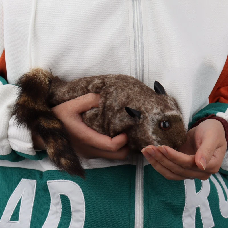 O guaxinim rocky magia robbie truques mágicos palco ilusão de rua acessórios truque prop engraçado aparecer primavera animal magie brinquedo