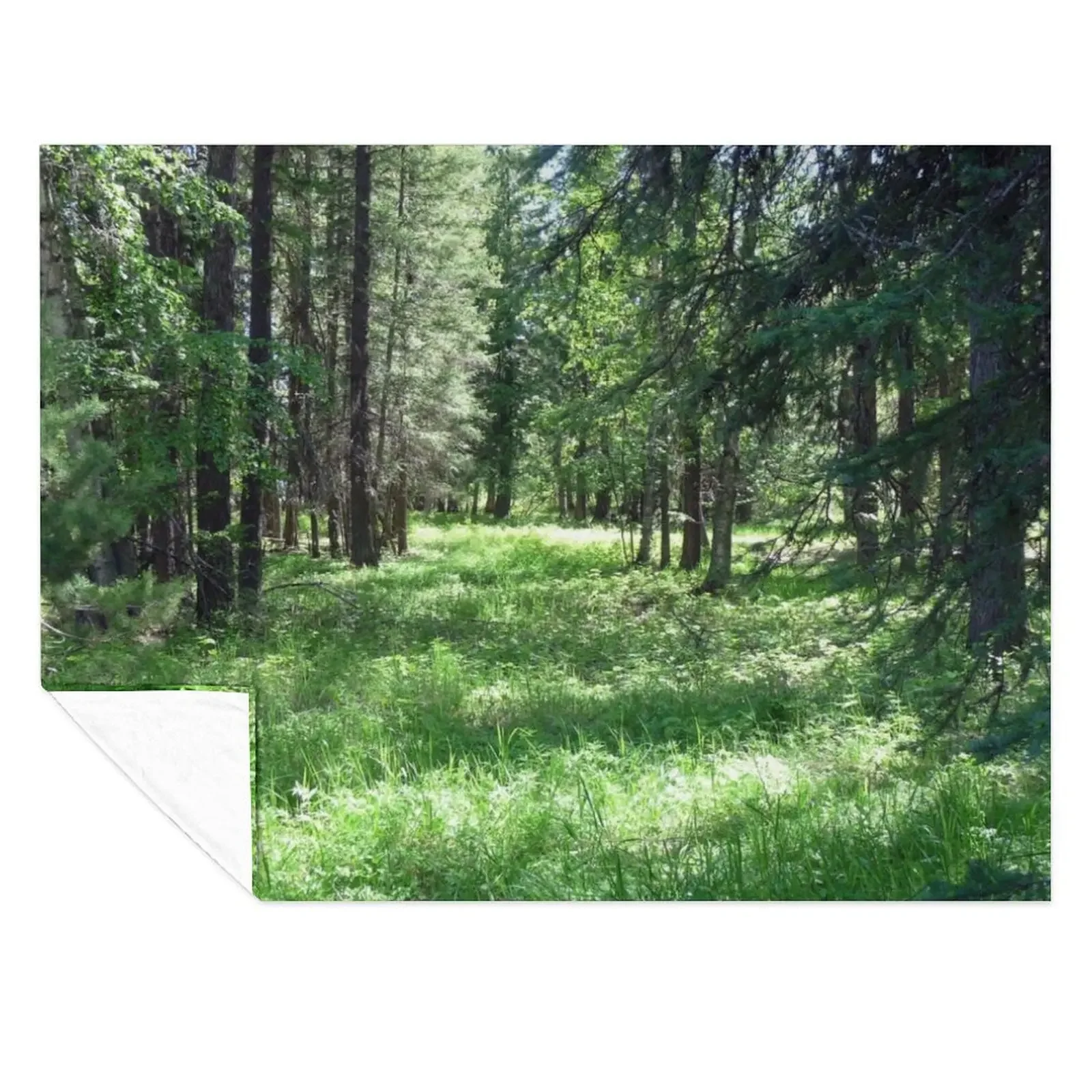 

Clearing Throw Blanket Furry cosplay anime Hairys Cute Plaid Blankets