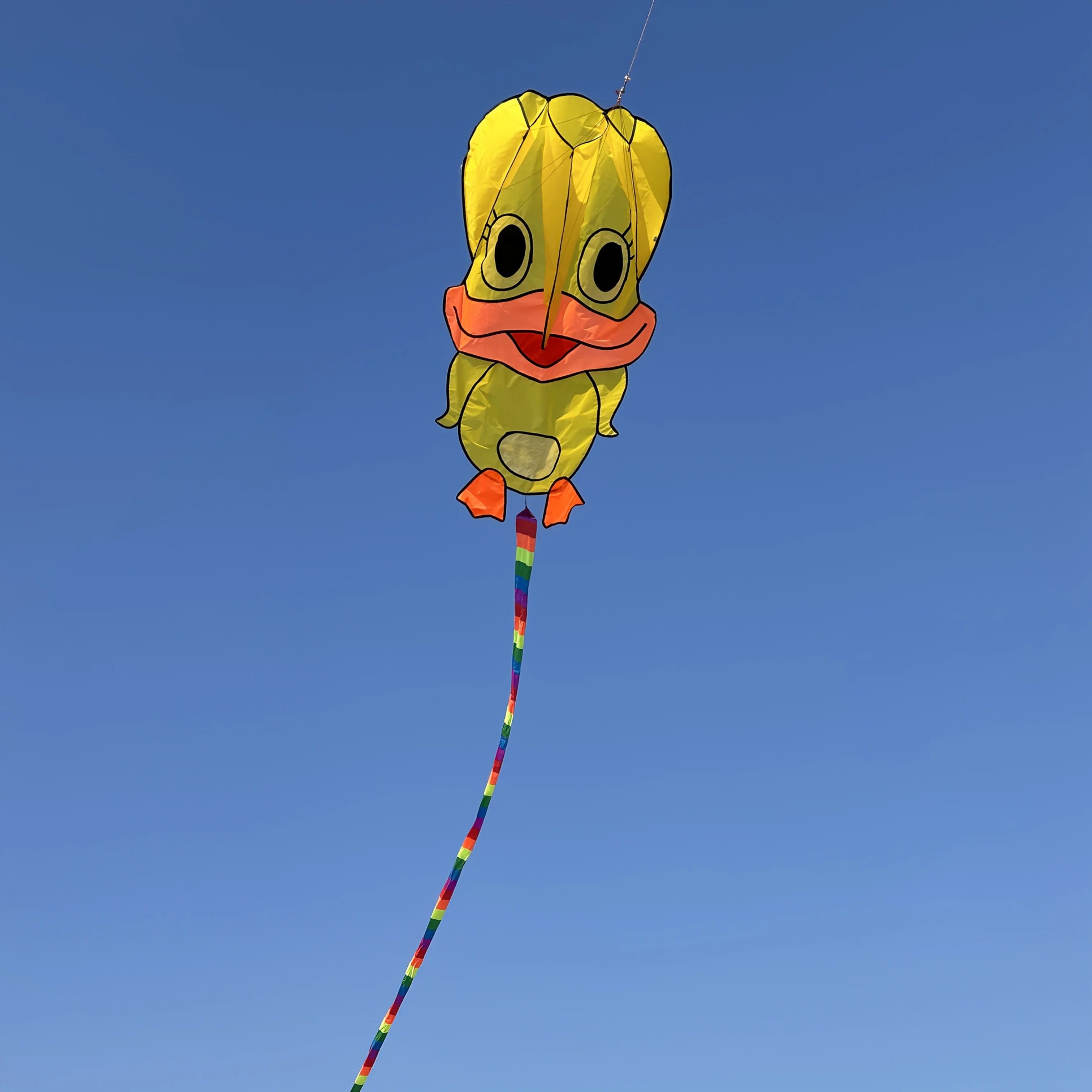 7,3 m driekleurige zachte eendvlieger, lange regenboogstaart strandvlieger voor buiten, wordt geleverd met 100 m handvatkabel, leuk vakantiecadeau