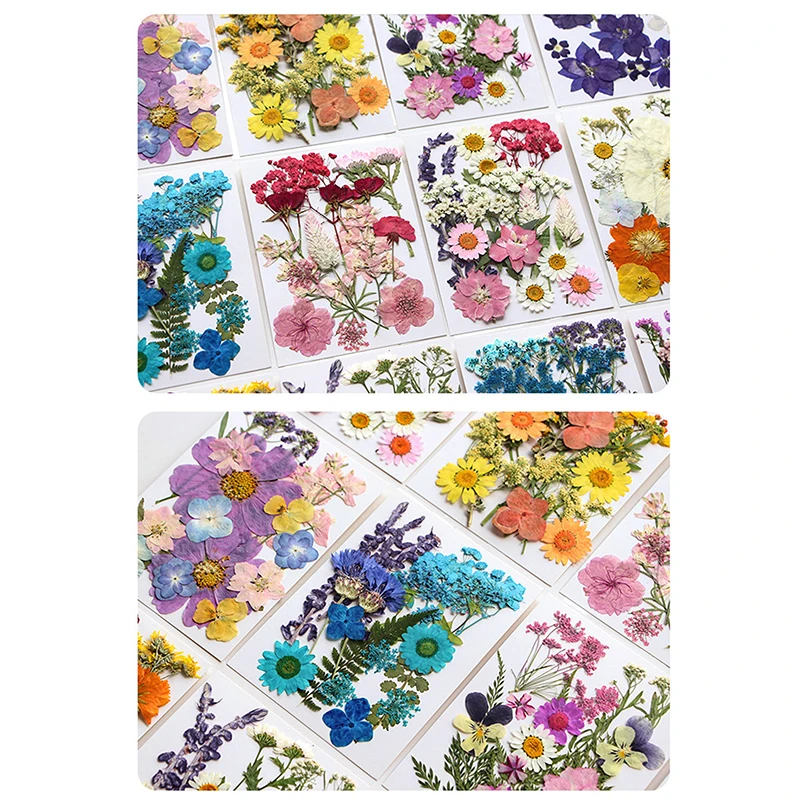 Dried Flowers Real Natural Plant Pressed Flower For Epoxy Resin Filling DIY Nail Art Handicrafts Jewelry Making Craft