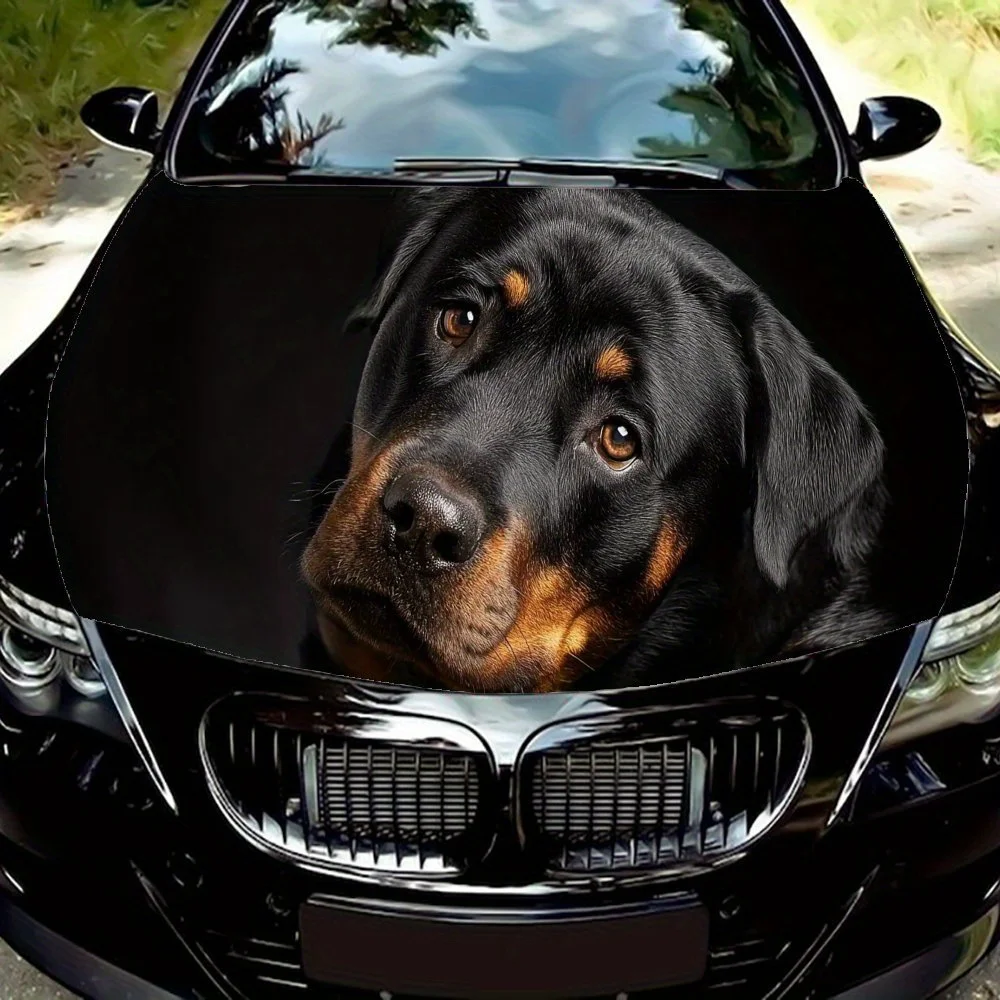 

Стильная наклейка на капот автомобиля Rottweiler — изготовлена из прочного винила, водонепроницаемая и устойчивая к пятнам, простая в установке, создайте уникальный St.