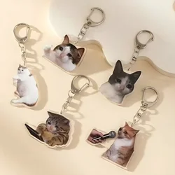 Cute Cartoon Cats Meme Crying Cat Acrylic  Hanging Backpack Keyring Pendant Decorative Accessories Ornament аксесуари для сумки