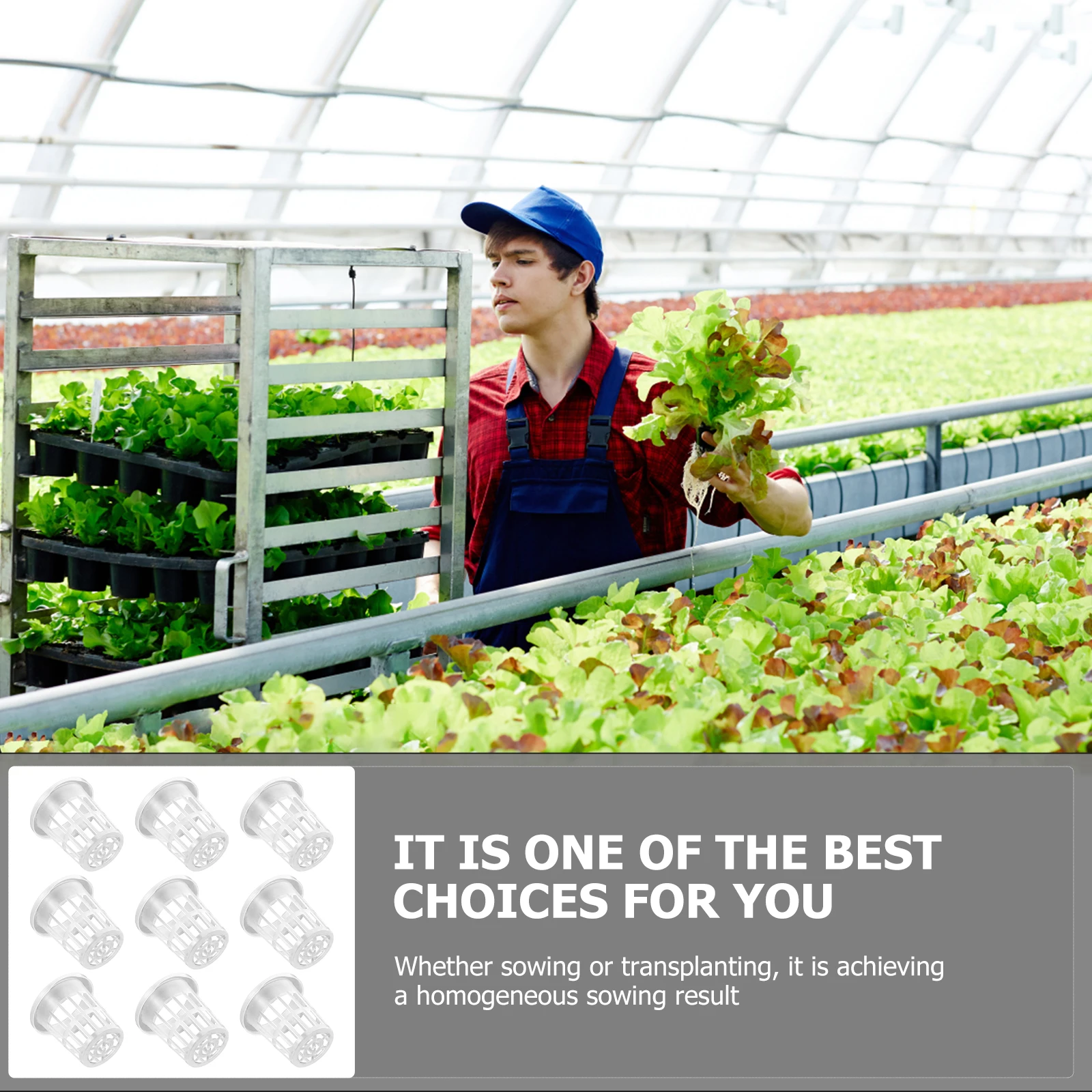 

50 Pcs Planting Baskets Plastic Hydroponics Growing Vegetable Seeds Soilless Cultivation Containers Nursery Pots Garden