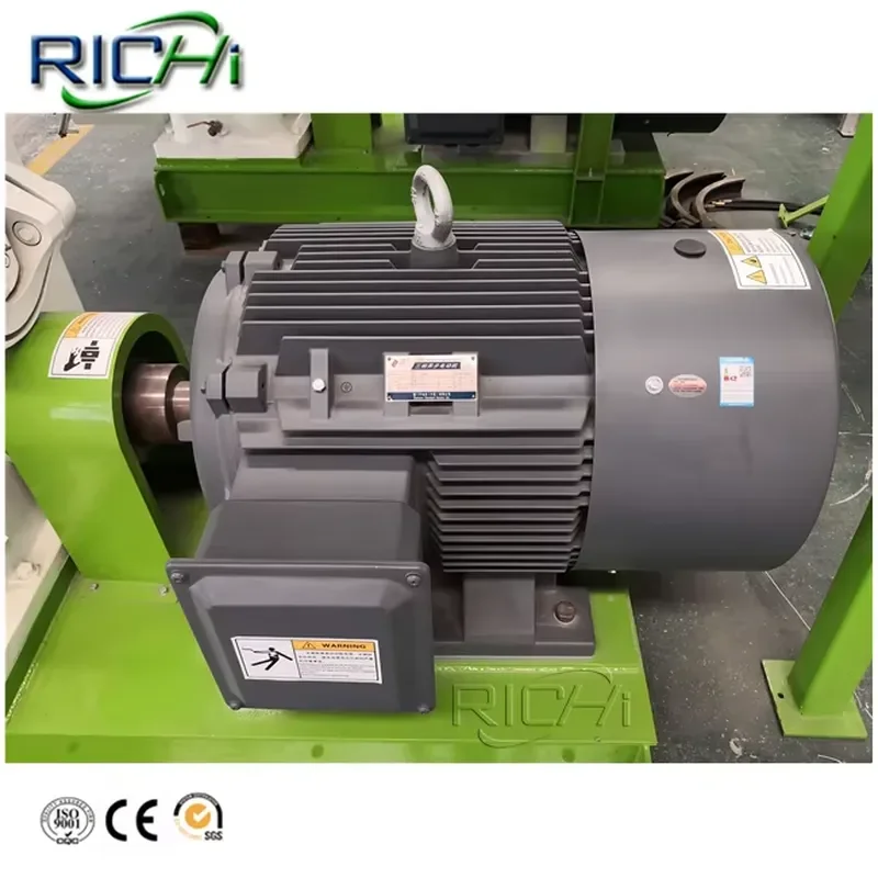 Large Capacity 2-3 Ton Per Hour Indonesia Solid Compress Palm Tree Wood Pellet Mill in Vietnam