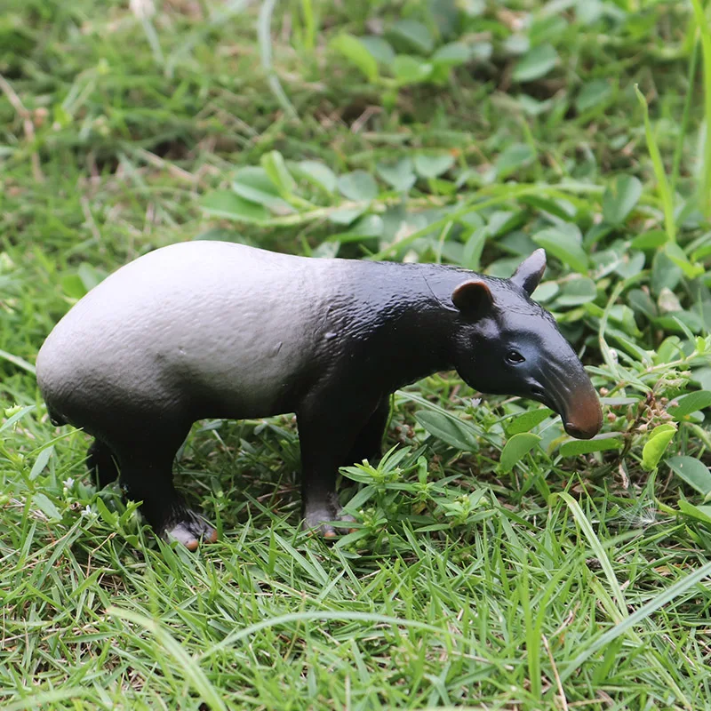 Oenux javali selvagem tapirus indicus porcupina animais modelo de simulação figuras de ação estatueta coleção educacional crianças brinquedo presente