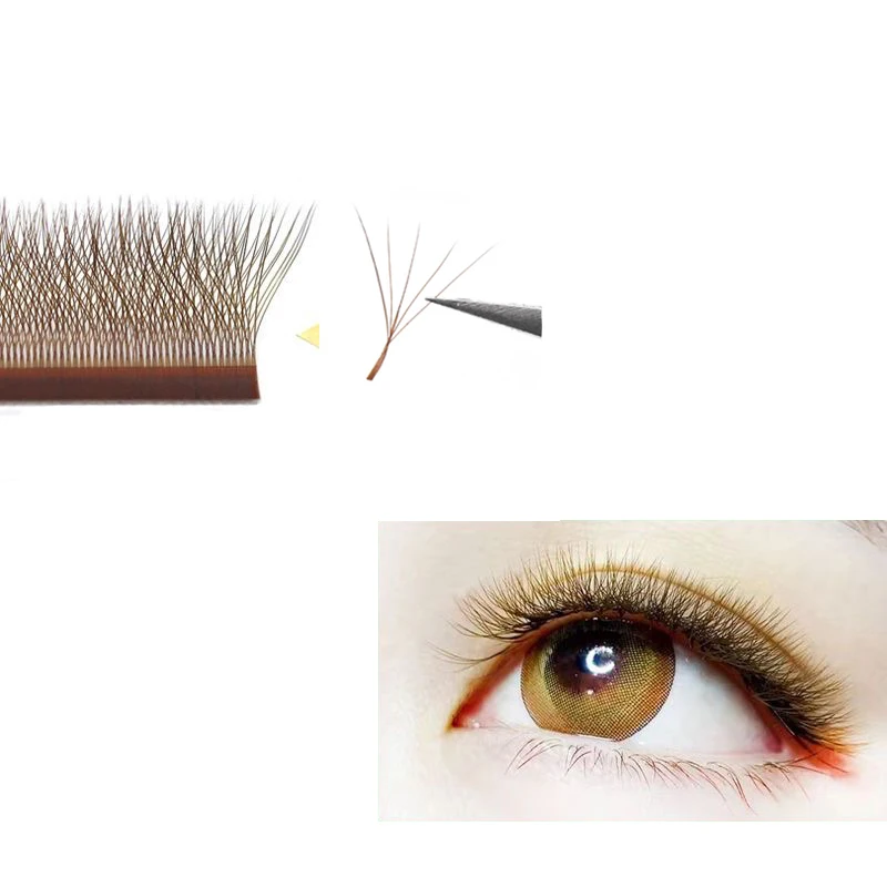 Рисунок 3 - MARIA Коричневый 5D W Форма Тип