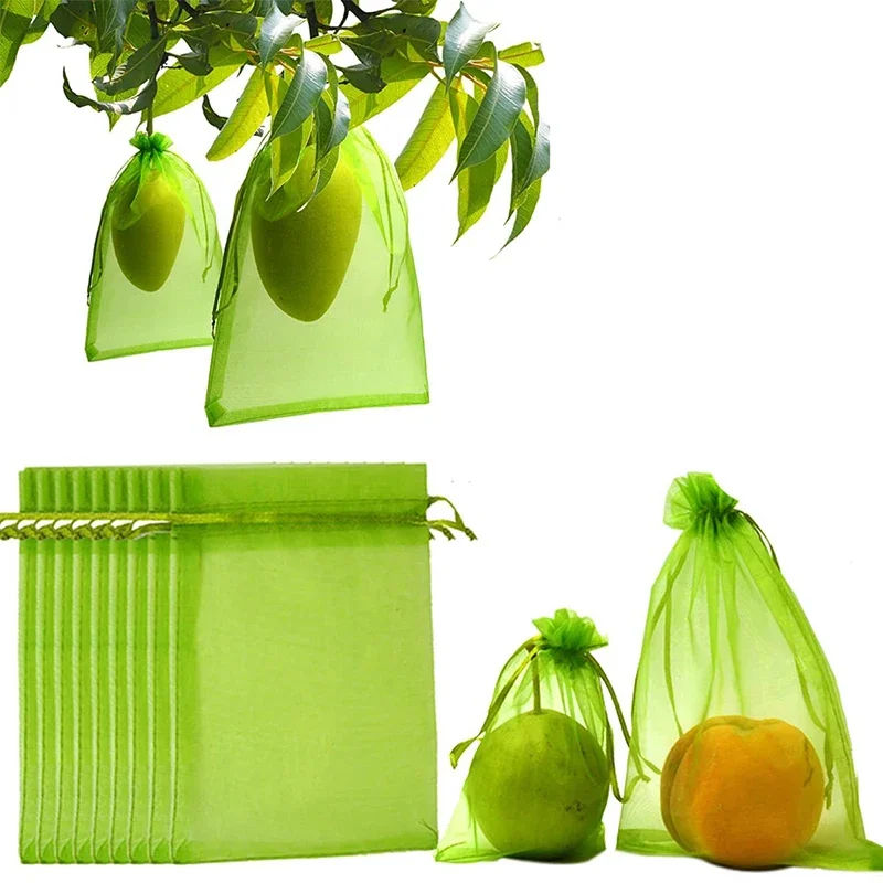 100 pz uva fragola sacchetti di protezione della frutta sacchetto di rete con coulisse da giardino sacchetti di rete di verdure Anti-uccello per frutteto agricolo