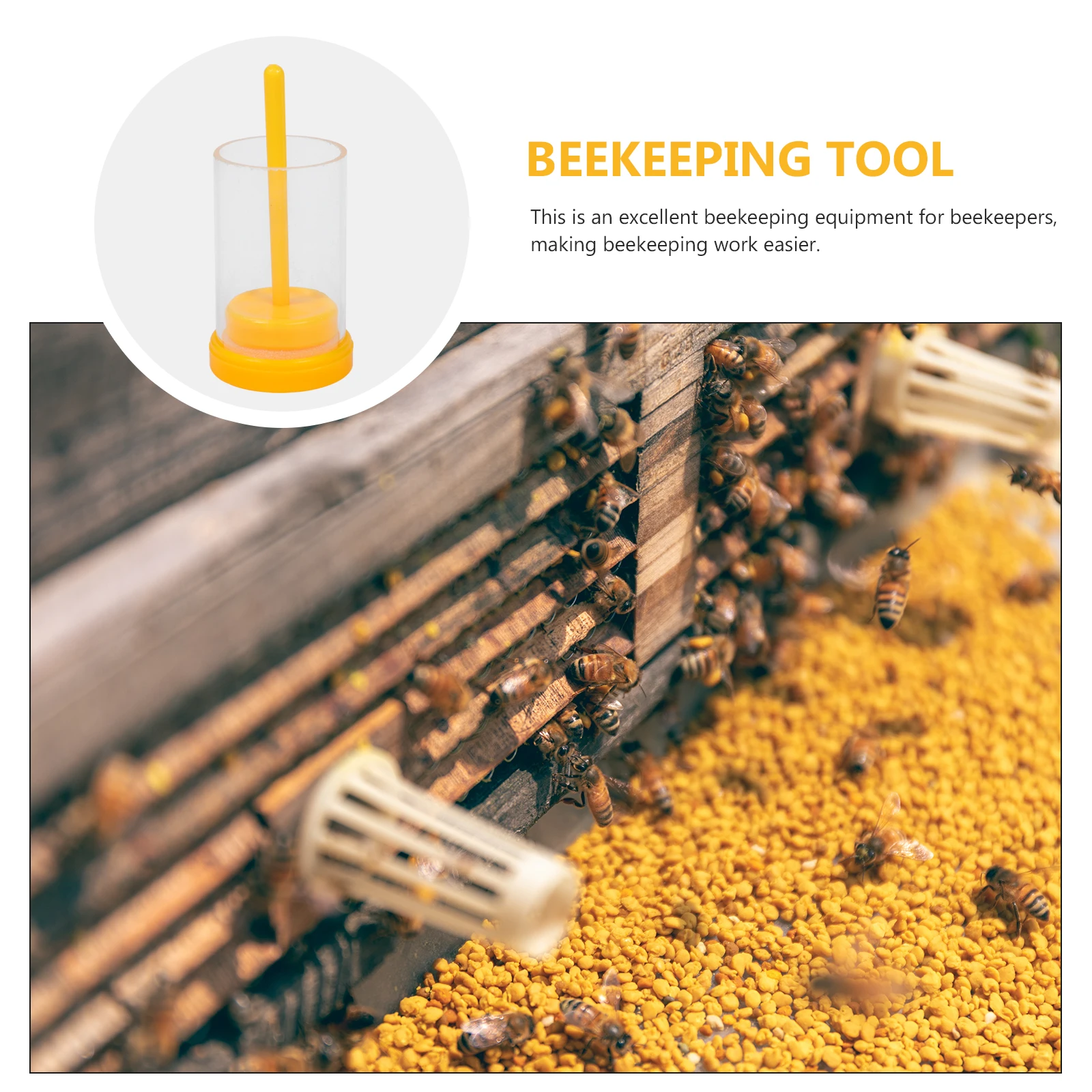 

Marking Bottles 2 Sets Plastic Honey Safe Tools Sponge Supplies Markers Beekeeping Equipment Durable Professional Use