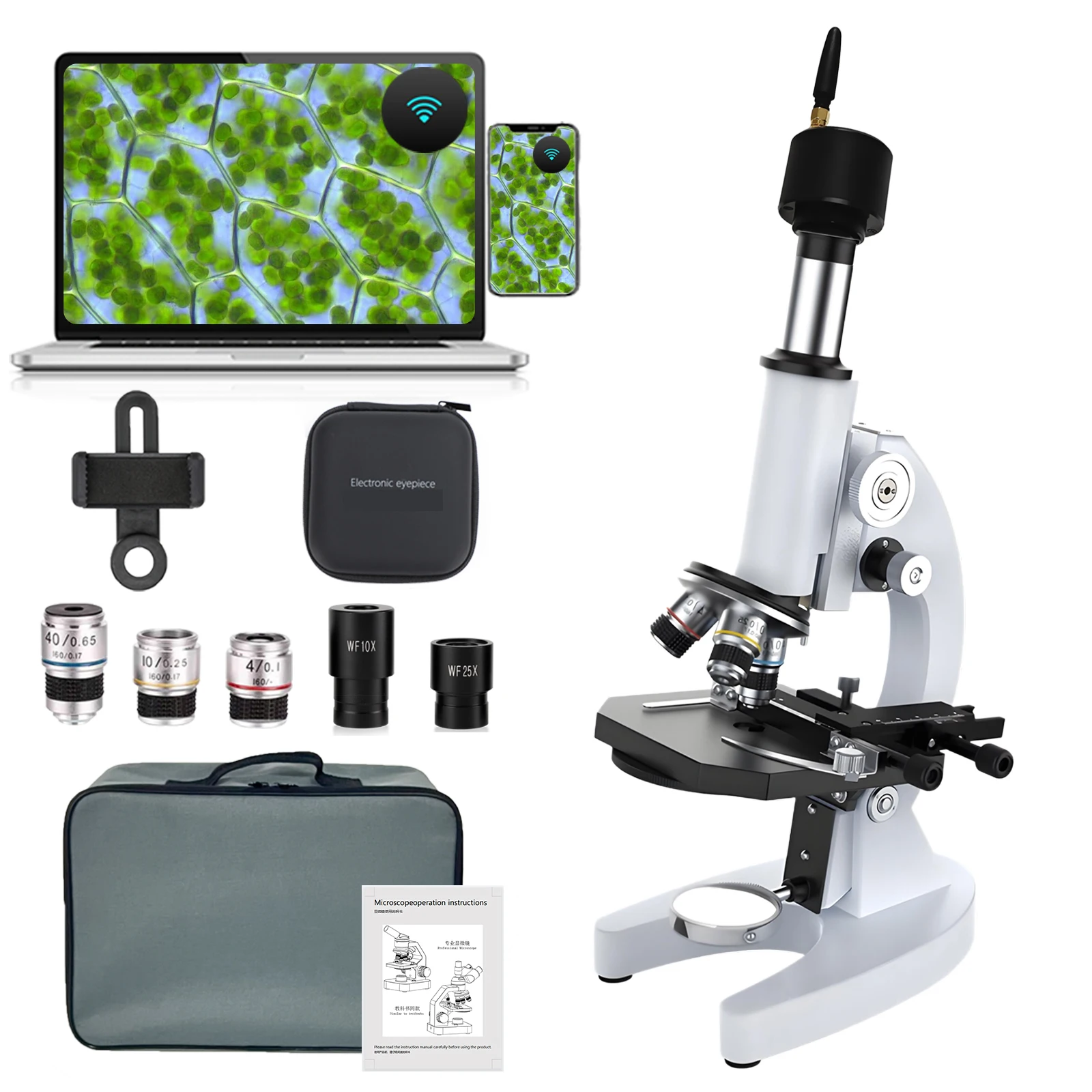 Microscope Labelled: The Real-World Guide to Choosing the Right Educational Tool for Students and Teachers