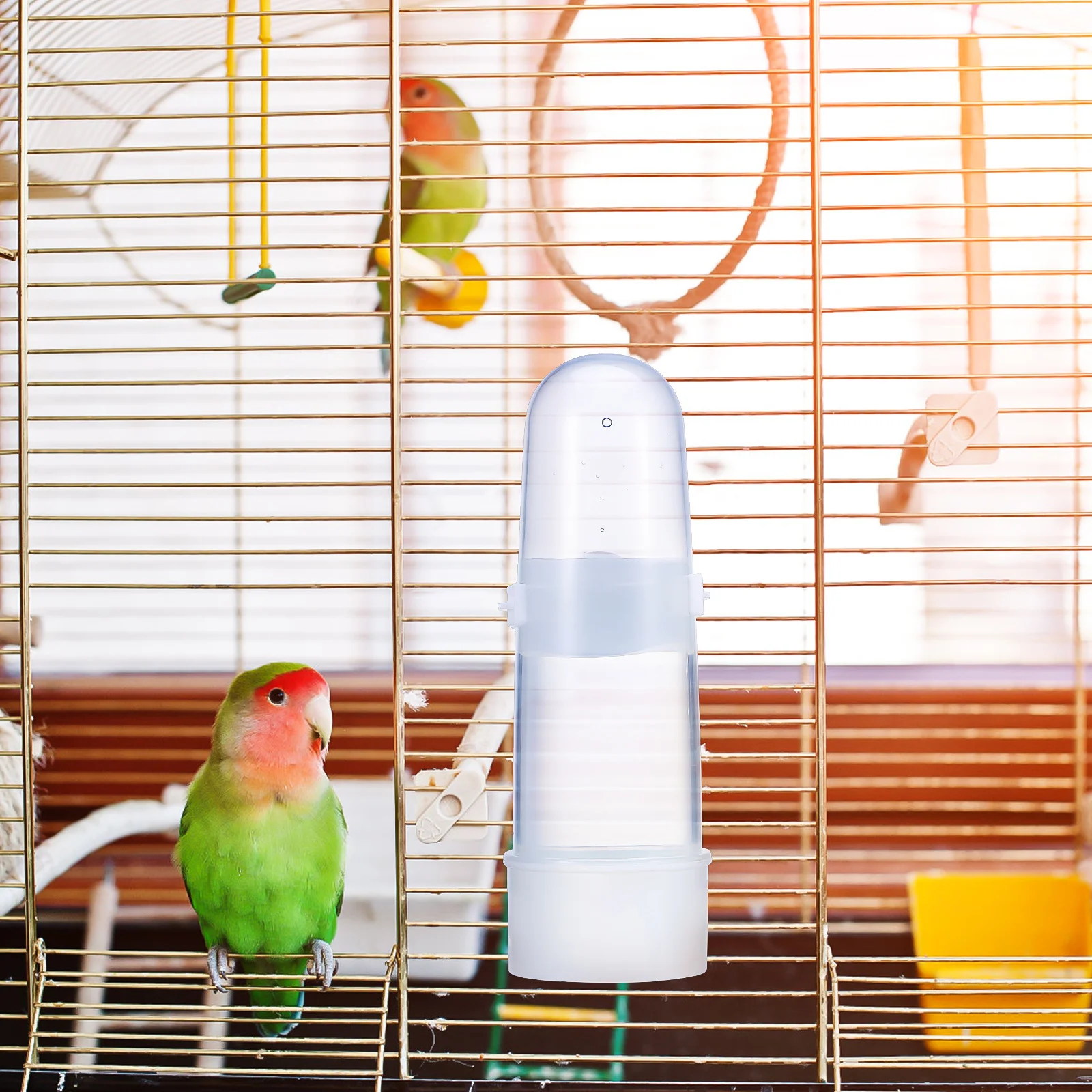 

2Pcs Parrot Feeder Automatic Water Dispenser Bird Cage Accessories Clear Bottle Large Capacity Bird Feeder for Cage