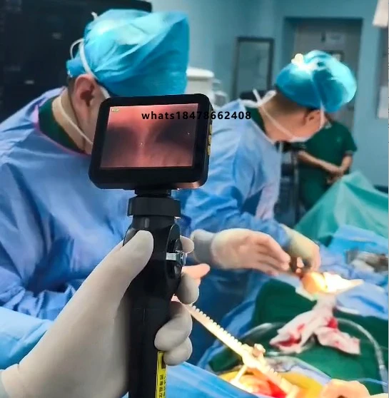 Veterinary video soft mirror bronchoscope gastroscope endoscope system, suitable for horses, dogs, cats, sheep, cattle, with bio