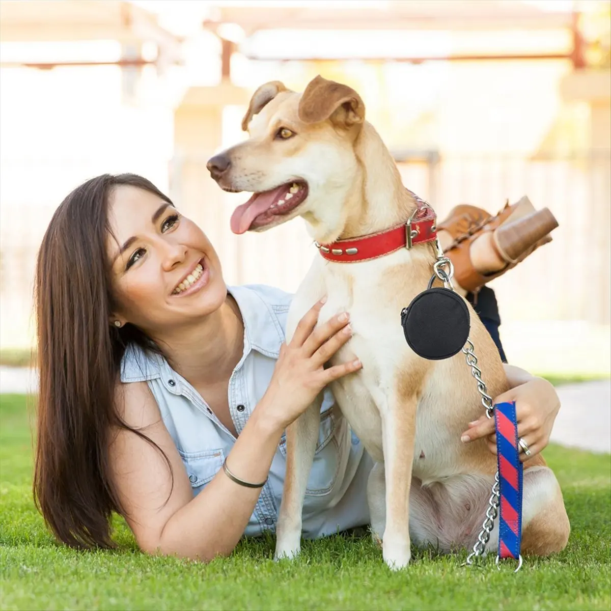 AA83 3pcs Treat Bags for Dogs, Food Bag Dog Training with Zip and Carabiner Treat Bag, for Walks Dog Training Dogs Travel