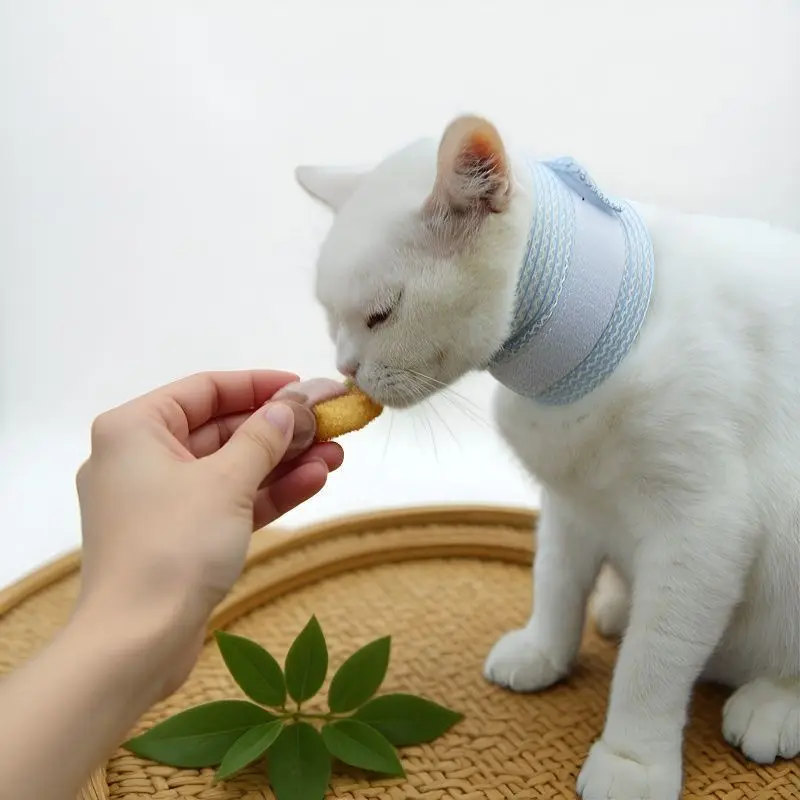 Collar postoperatorio transpirable para perros y gatos – Anti-lamido