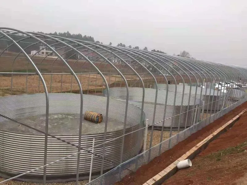 Recirculating Aquaculture System Tilapia Farming Equipment Corrugated Galvanized Steel Sheet Tarpaulin Pond Fish Farming Tank