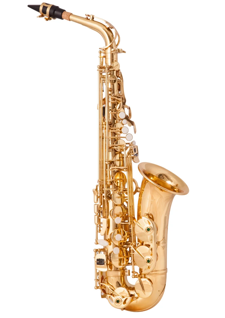 

Recommend Alto Saxophone E Flat Brass Sax Professional Woodwind Instruments With Case Neck Mouthpiece Accessories Free Shipping