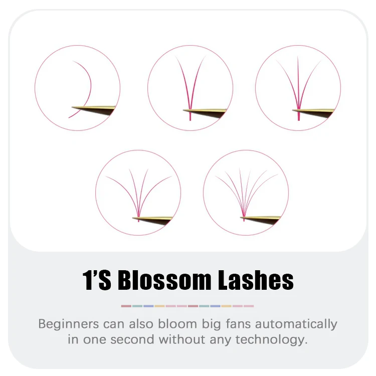 High quality colored automatic flower W shape eyelashes makeup 12 rows super soft natural individual colored eyelash extension