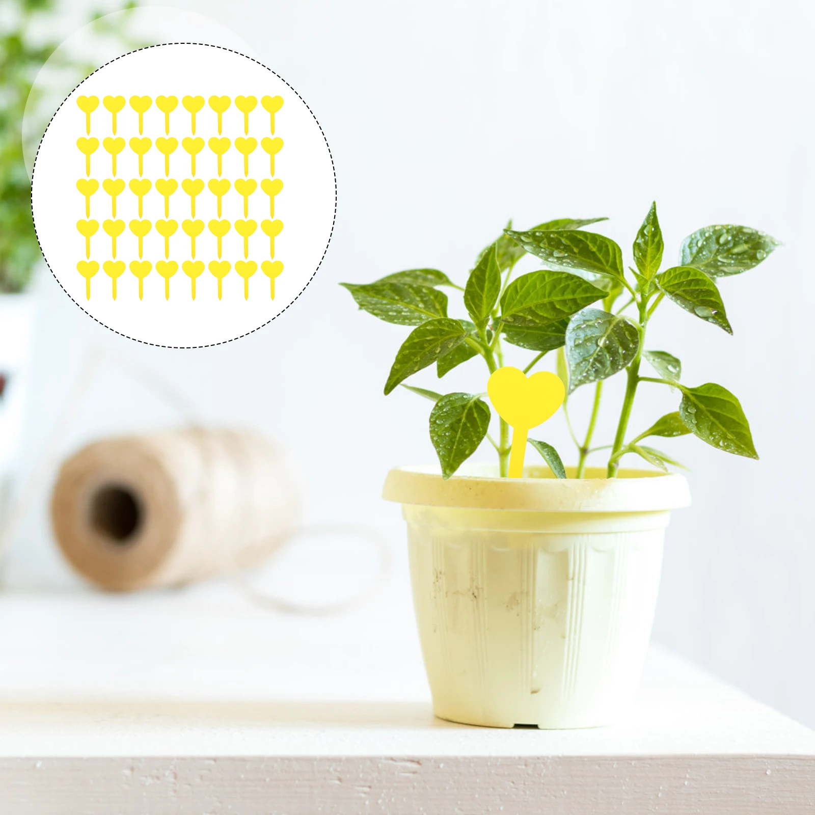 

100pcs Plant Labels Garden Markers Sturdy Durable Signs Easy Use Pointed Design Insert Soil Practical Gardening Art Farming