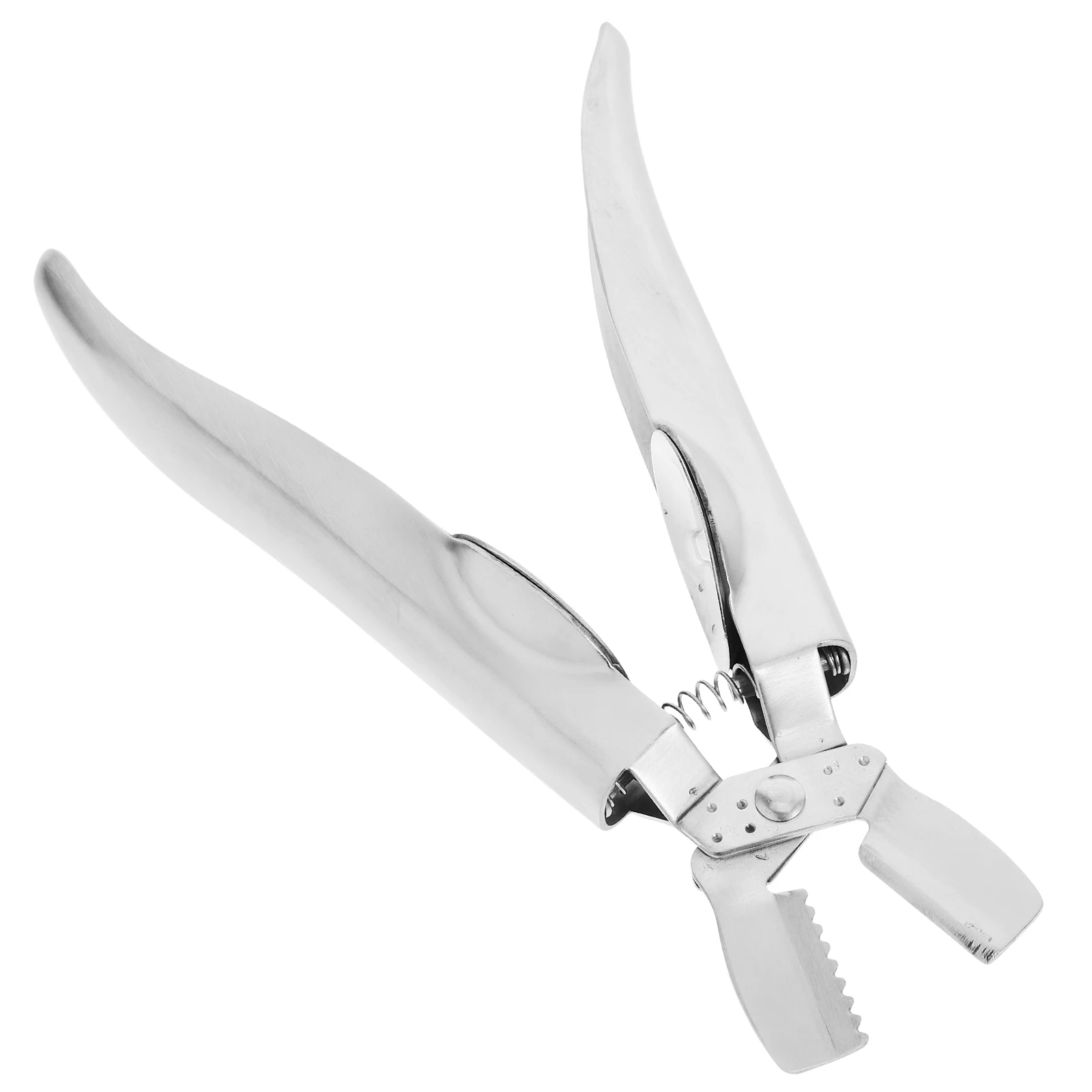 

304 Stainless Steel Chestnut Opener Heavy Duty Nut Cracker Tool for Chestnuts Walnuts Seafood Sheller and Cracker Tool