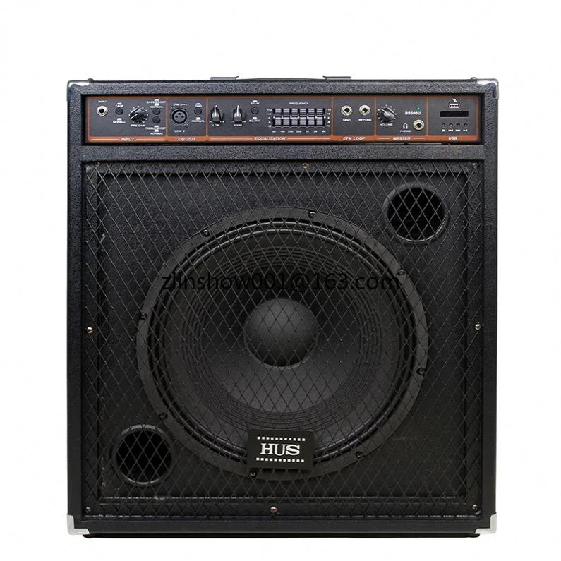 Professional 15 inch 250W acoustic bass guitar keyboard combo amplifier speaker for stage DJ